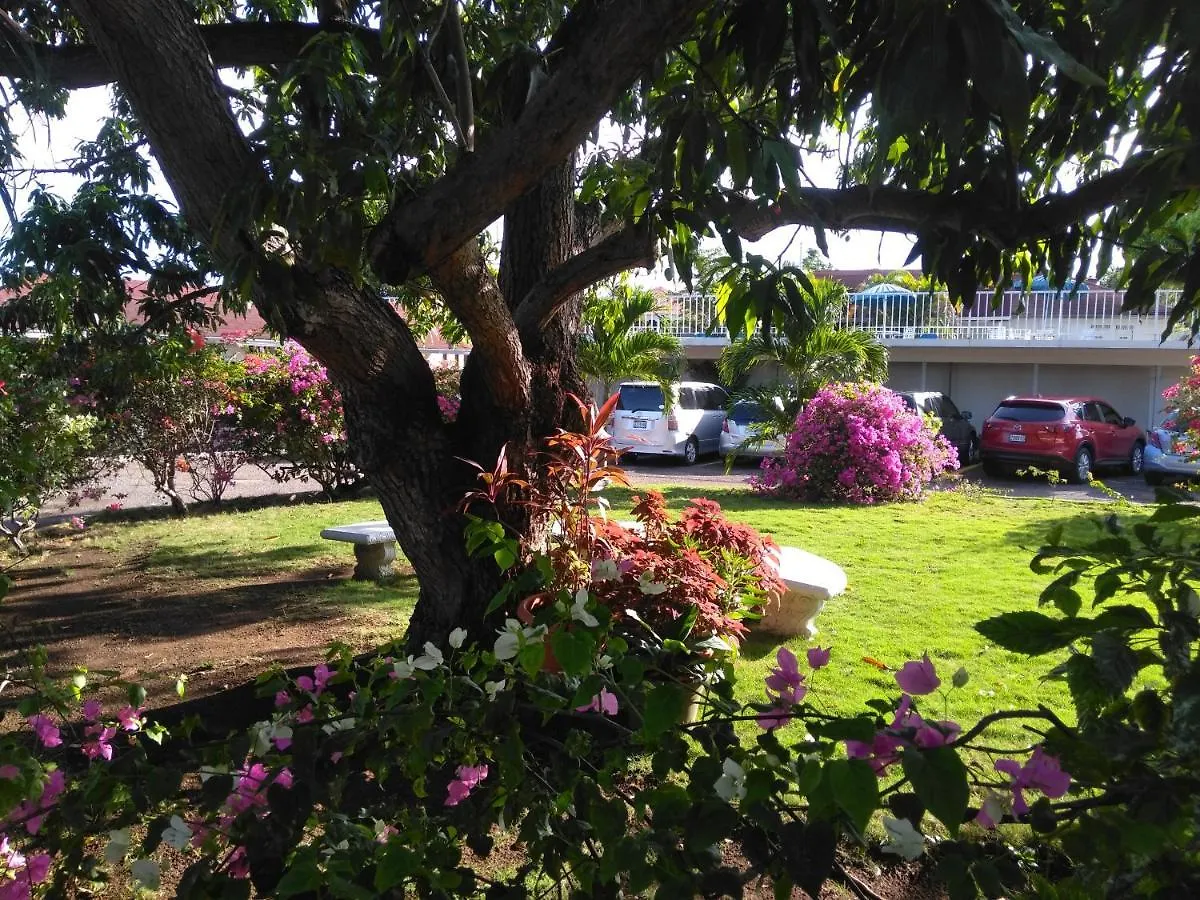 Apartmán Irresistible View-Mobay Club 1408 Montego Bay 0*,