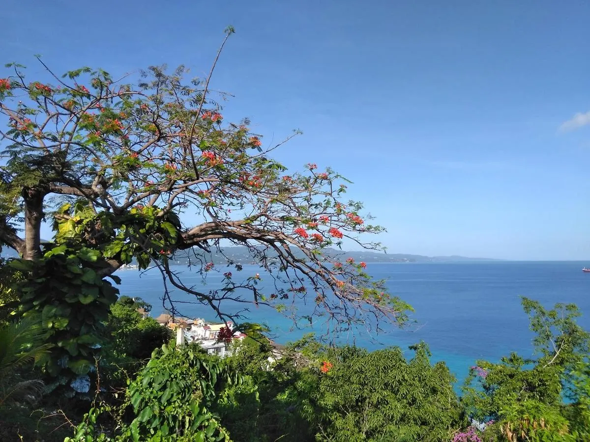 Apartmán Irresistible View-Mobay Club 1408 Montego Bay